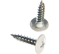 Саморезы с полусферической головкой Профикреп остр. бел.сигн RAL9003, 4,2х19 200 шт 2007906224