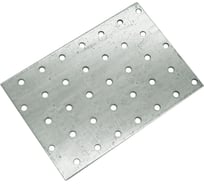 Соединительная пластина АКСЛЕН PS 100х140х2 мм 00-00000262