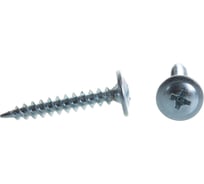 Саморезы с полусферической головкой и острием МТК цинк, 4,2х25 700 шт 648904107