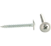 Саморезы с полусферической головкой и острием МТК цинк, 4,2х32 1000 шт 648907120