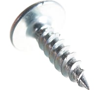 Саморезы с полусферической головкой и острием МТК цинк, 4,2х16 1000  шт 648904105