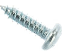 Саморез ЦКИ DIN7981 5.5х19 остроконечный Ц 1000 шт. 4582