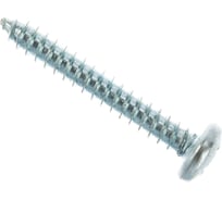 Саморез ЦКИ DIN7981 5.5х38 остроконечный Ц 500 шт. 4585 16139734