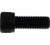 Винт ЦКИ DIN912 М16х40 12.9 ОКС 25 шт. 50555