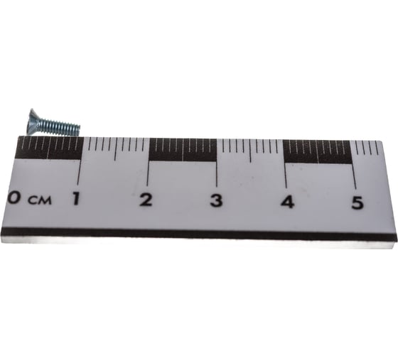 Винт ЦКИ DIN965 М2.5х8 Ц 2000 шт. 4446