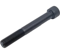 Винт ЦКИ DIN912 М16х120 12.9 ОКС 10709