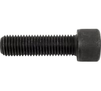 Винт ЦКИ DIN912 М16х55 12.9 ОКС 20 шт. 50573