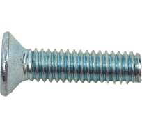 Винт ЦКИ DIN965 М2.5х10 Ц 2000 шт. 1455