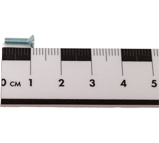 Винт ЦКИ DIN965 М2.5х10 Ц 2000 шт. 1455