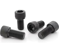 Винт ЦКИ DIN912 М10х20 12.9 ОКС 100 шт. 50468