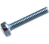 Винт ЦКИ DIN7985 М2.5х12 Ц 2000 шт. 4479