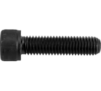 Винт ЦКИ DIN912 М10х40 12.9 ОКС 100 шт. 50475