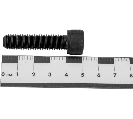 Винт ЦКИ DIN912 М10х40 12.9 ОКС 100 шт. 50475