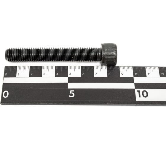 Винт ЦКИ DIN912 М12х75 12.9 ОКС 25 шт. 50534