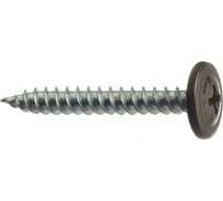 Саморезы с полусферической головкой и острием Профикреп остр. ш-корич. RAL8017, 4,2х19 200 шт 2006906224