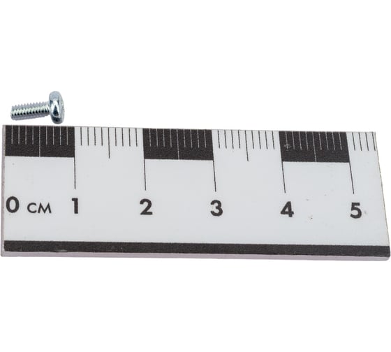 Винт ЦКИ DIN7985 М2.5х6 Ц 2000 шт. 3994