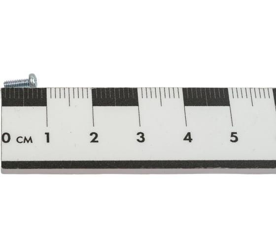 Винт ЦКИ DIN7985 М2х6 Ц 2000 шт. 4473