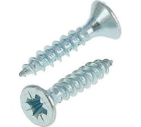 Универсальные шурупы Доброга 2,5x25 мм, белый цинк, 100 шт. ЦБ-00029846