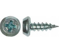 Саморез Доброга полуцилиндрическая, 3.5x11 цинк 100 шт. ЦБ-00029290