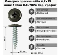 Саморез Доброга пресс-шайба, 4.2x19 цинк 100 шт. RAL7024 Серый графит ЦБ-00022786 31585083