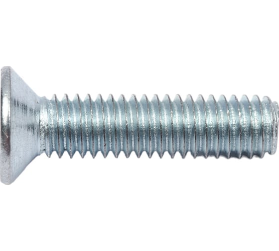 Винт Доброга с потайной головкой, М6x25 мм, DIN 965, 10 шт. ЦБ-00020894