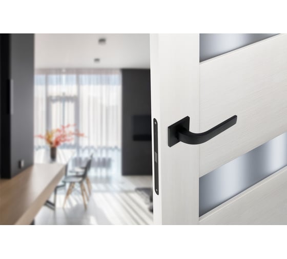 Дверные ручки ADDEN BAU COMET S-546 BLACK Чёрный 940002023086