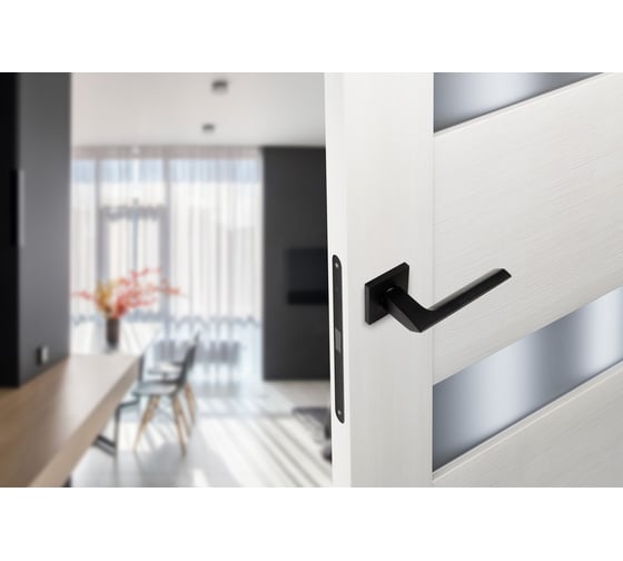 Дверные ручки ADDEN BAU GRACE S-549 BLACK Чёрный 940002023126