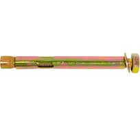 Анкерный болт Доброга 10x100 мм, 25 шт. ЦБ-00031439