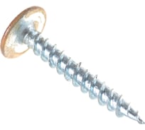 Саморез BULLIT ПШ усиленный, покрытие Printech 4,2х25 орех 200 шт. пл.конт 280 мл 14-0020340