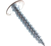 Саморез BULLIT ПШ сверло, усиленный, покрытие Printech 4,2х25 сосна 200 шт. пл.конт 280 мл 14-0020190