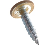 Саморез Bullit ПШ усиленный, покрытие Printech 4,2х19 орех 200 шт. пл.конт 280 мл 14-0020300