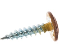 Саморез BULLIT ПШ усиленный, покрытие Printech 4,2х19 темный дуб 200 шт. пл.конт 280 мл 14-0020320