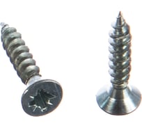 Универсальные оцинкованные саморезы Стройбат 3х16 35 шт.2741008/013871