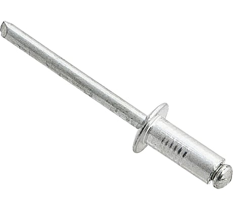 Вытяжная заклепка Daxmer 4,8х16 сталь/сталь, 500 шт 00000323274