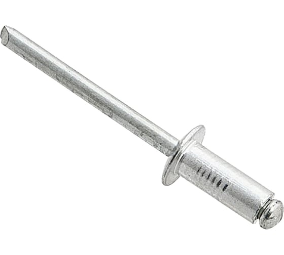 Вытяжная заклепка Daxmer 4,8х16 сталь/сталь, 500 шт 00000323274 1