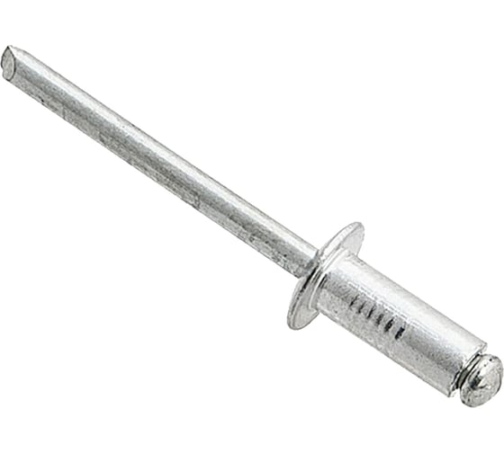 Вытяжная заклепка Daxmer 3,2х6,0 сталь/сталь, 1000 шт 00000323260