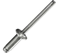 Вытяжная заклепка Daxmer 4,8х8 нерж/нерж, 500 шт 00000320235