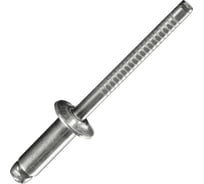 Вытяжная заклепка Daxmer 3,2х10 нерж/нерж, 1000 шт 00000323279