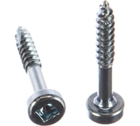 Шурупы Kreg с мелким шагом 1" 25 мм Pan-Head 500 шт. SPS-F1-500-INT