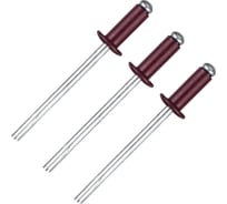 Вытяжная заклепка Daxmer 4,0х10 алюм/сталь RAL 3005, 1000 шт 00000307920