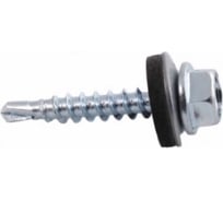 Кровельный саморез Insparion с epdm, 4.8x19 мм, сверло, цинк, 100 шт. С1-00001668