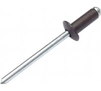 Вытяжная заклепка Daxmer 3,2х8, алюм/сталь, RR 32, 1000 шт 00000312692