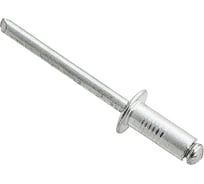 Вытяжная заклепка Daxmer 4,8х10 сталь/сталь, 500 шт 00000320233