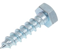 Шурупы с шестигранной головкой Доброга 10x40 мм, цинк, 100 шт. ЦБ-00035061