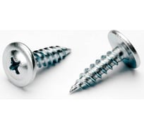 Саморез Доброга пресс-шайба, 4,2x76 мм, цинк, 1 кг ЦБ-00028519