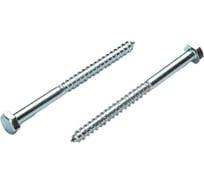 Шурупы с шестигранной головкой Доброга 12x160 мм, цинк, 50 шт. ЦБ-00028300