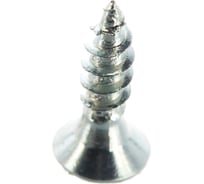 Универсальные оцинкованные саморезы Стройбат 2.5х10 25 шт.2741001/036461