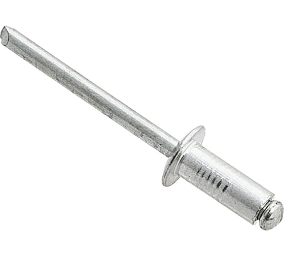 Вытяжная заклепка Daxmer 3,2х10 сталь/сталь, 1000 шт 00000323262