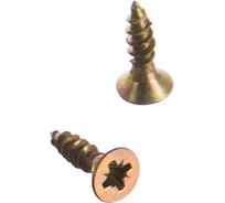 Саморез ГОСКРЕП ШУЖ 3,0х12, 40 шт. 1-0028530