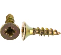 Саморез ГОСКРЕП ШУЖ 3,0х12, 500 шт. пл.конт 280 мл 1-0027380